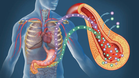 Beat Diabetes & Lower Blood Sugar: Herbs, Diet & Lifestyle Tips