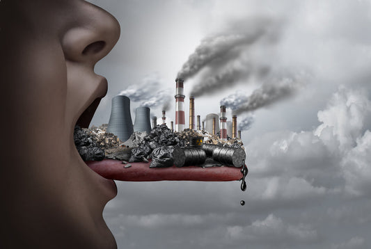 Guide to Environmental Toxins