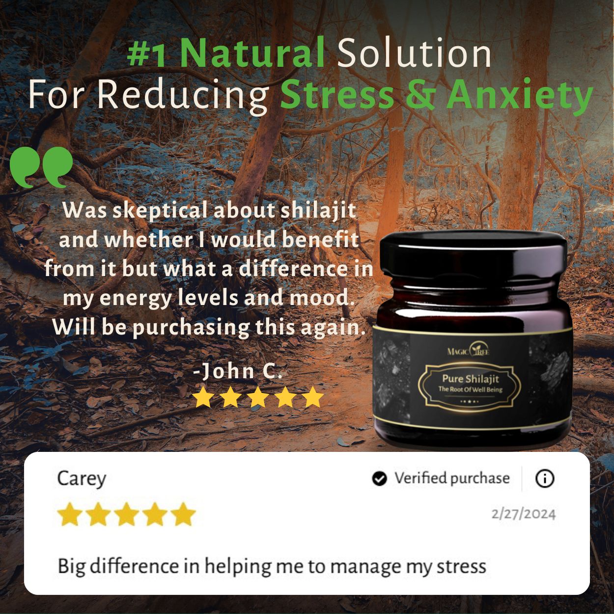 Pure Organic Shilajit