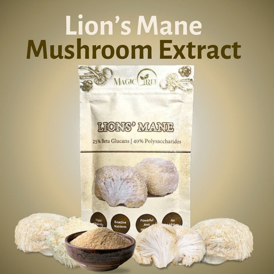 Lions Mane Mushroom Extract