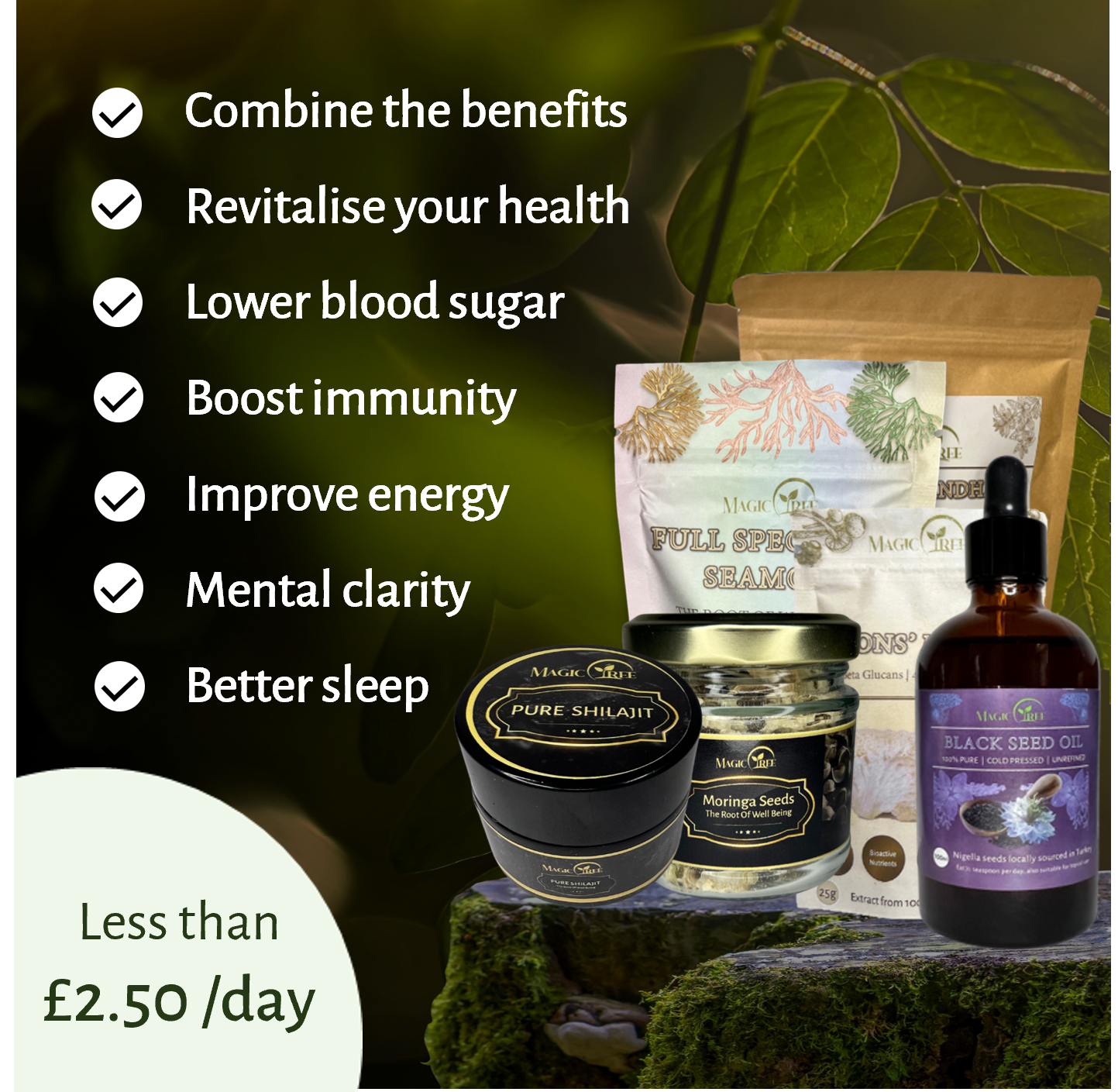 Mother Nature's Gift Bundle