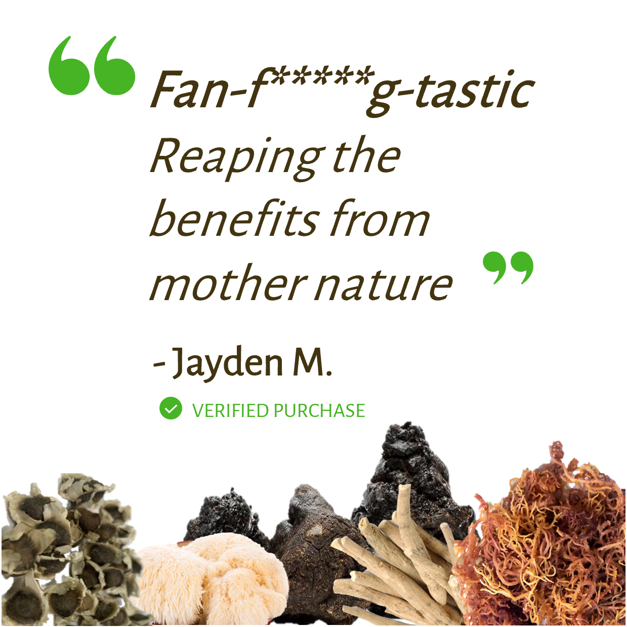 Mother Nature's Gift Bundle