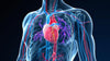 Nurturing Your Heart: A Natural Approach to Cardiovascular Health