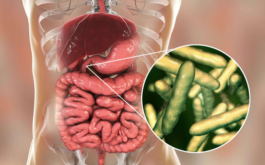 5 Steps to Overcoming H Pylori Gut Issues