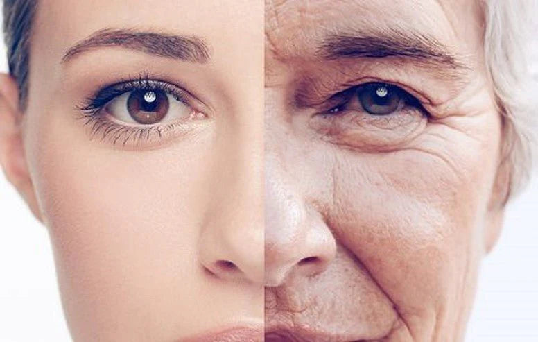 Unlock the Secrets of Aging Gracefully: Natural Herbs, Holistic Techniques & More!