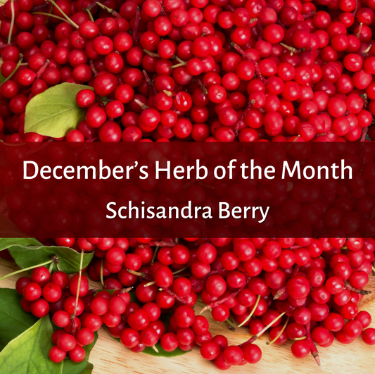 Schisandra Berry: A Versatile Superfruit