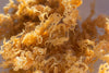 Orange sea moss. What are the benefits of seamoss?