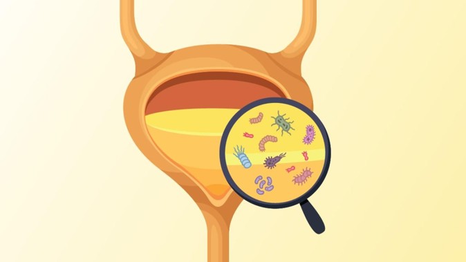 Healing Recurrent UTIs