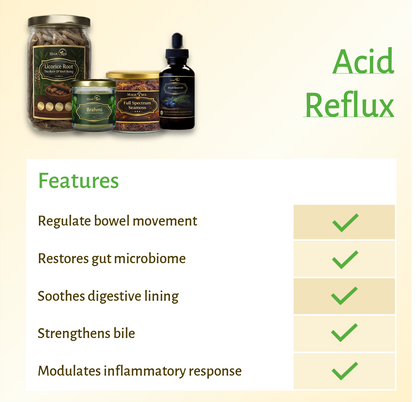 Magictree Gut Health Kit