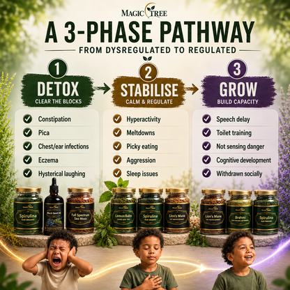 Magictree Autism Herbal Cleanse Program