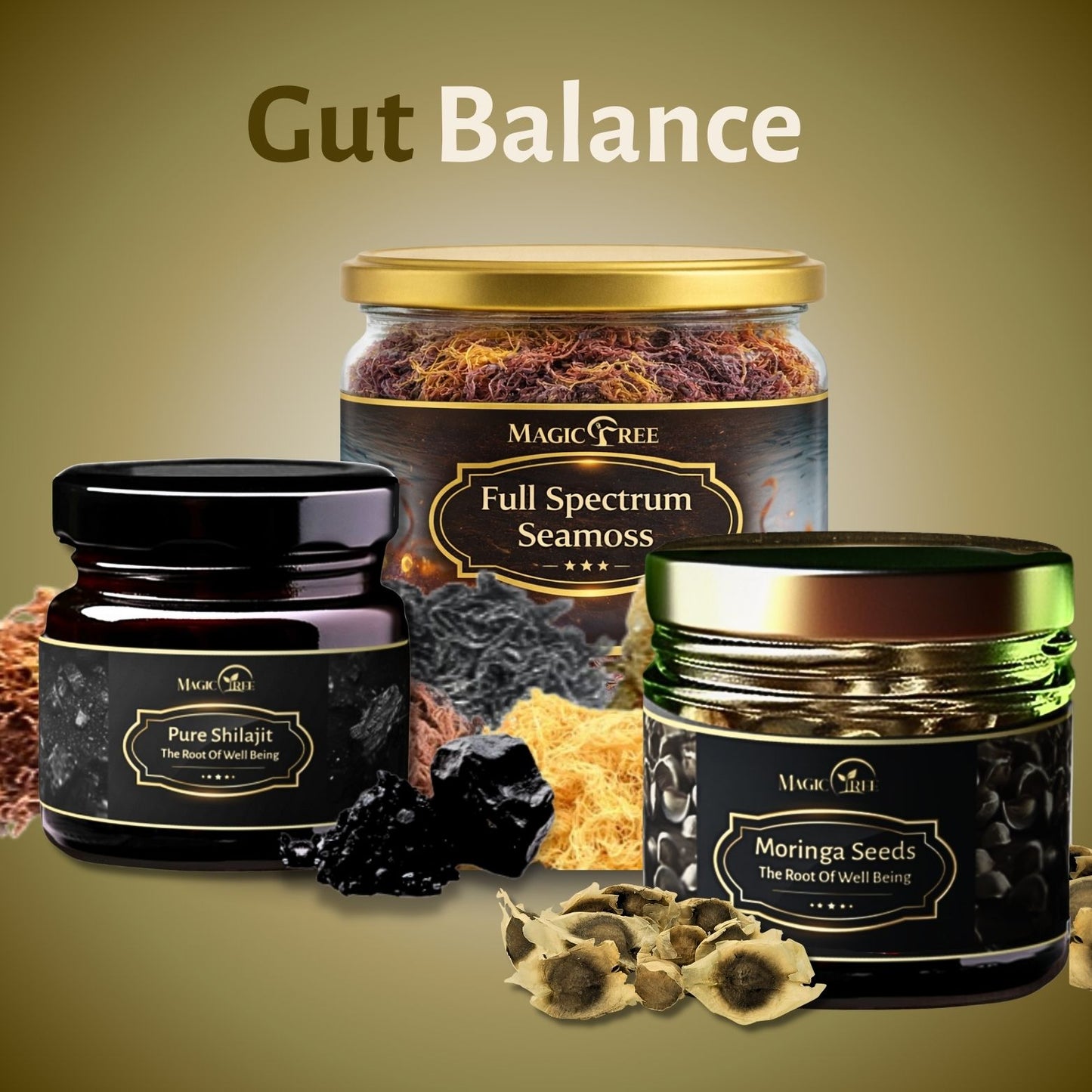 Gut Balance