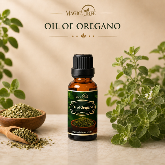 Oil of Oregano