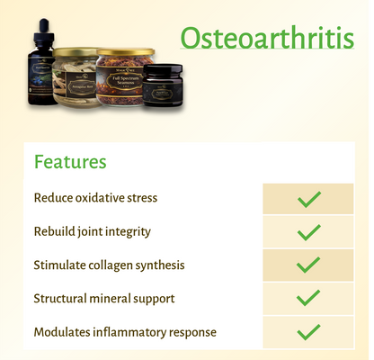 Magictree Joint Health Kit