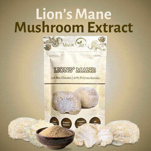 Lions Mane Mushroom Extract