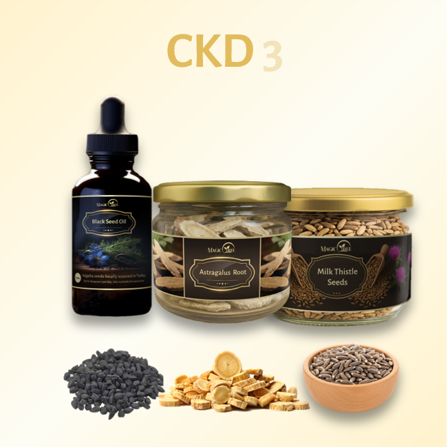 CKD Stage 3