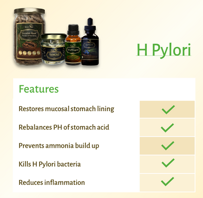 Magictree Gut Health Kit