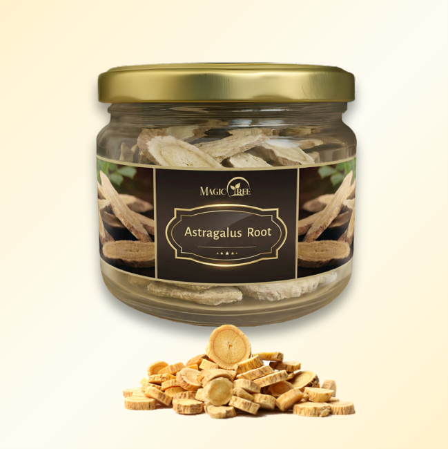 Astragalus Root