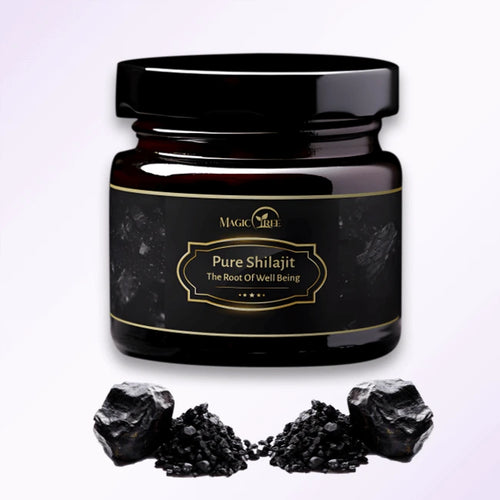 Himalayan Organic Shilajit