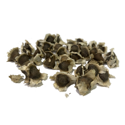 Moringa Seeds Deluxe